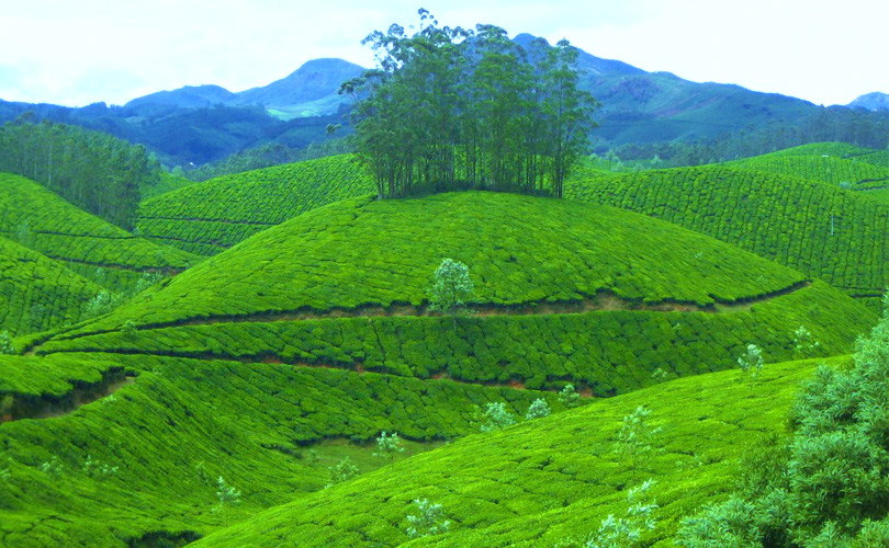 beauty-of-the-lush-green-hills-kerala