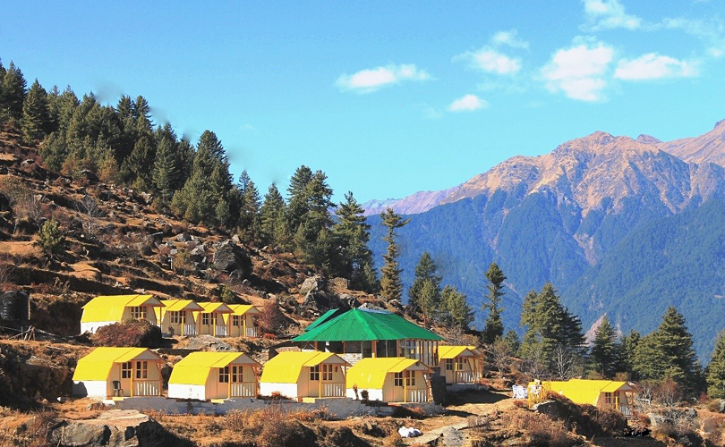 kalpavriksha-joshimath-india