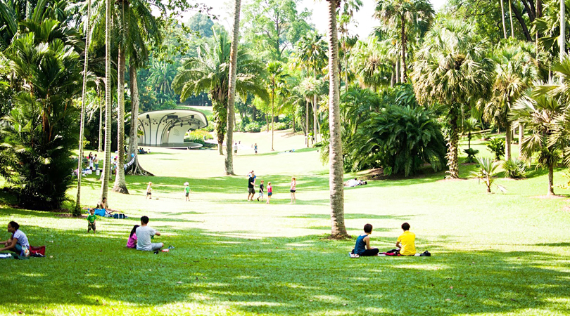 the-pondicherry-botanical-garden-india