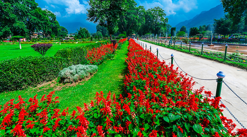 shalimar-bagh-srinagar