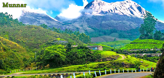 munnar-kerala-india