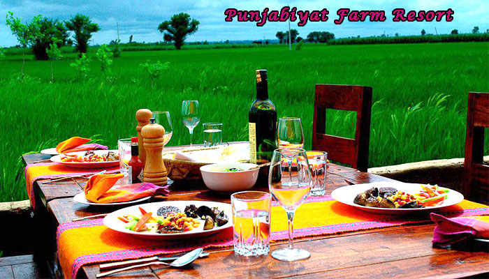 punjabiyat-farm-resort-amritsar-india