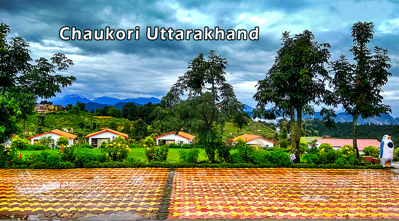 chaukori-uttarakhand-india