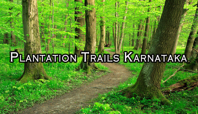 plantation-tour-karnataka-india