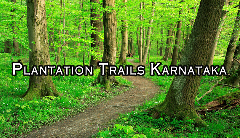 plantation-tour-karnataka-india