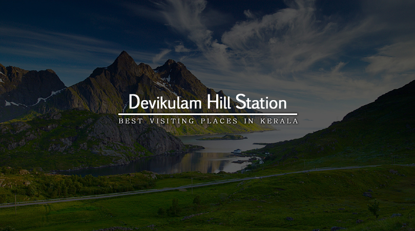 devikulam-hill-station-kerala-india