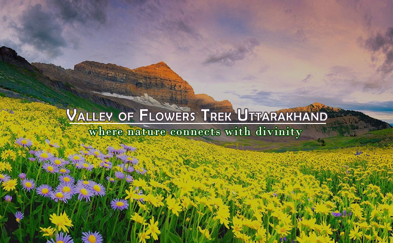 Valley of Flowers Trek