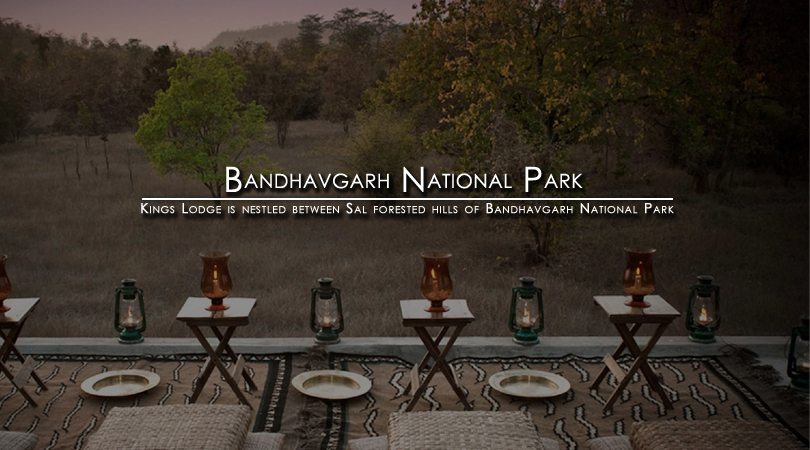 bandhavgarh-national-park-india