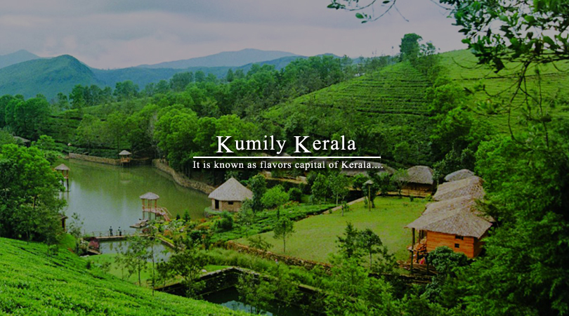 kumily-kerala-india