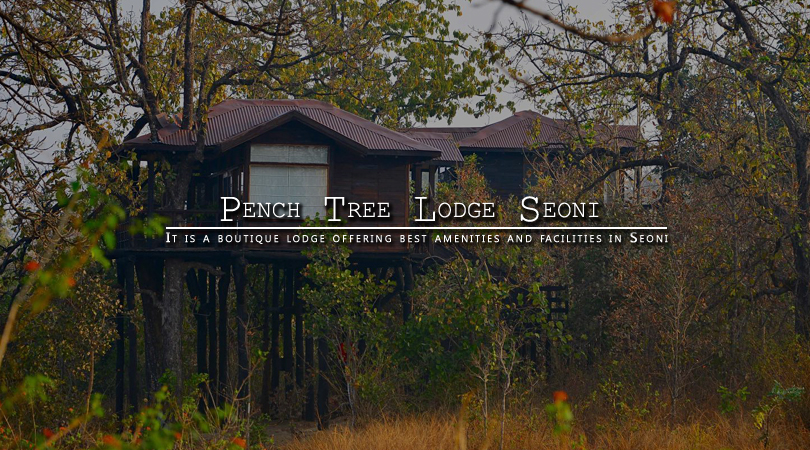 pench-tree-lodge-seoni-madhya-pradesh