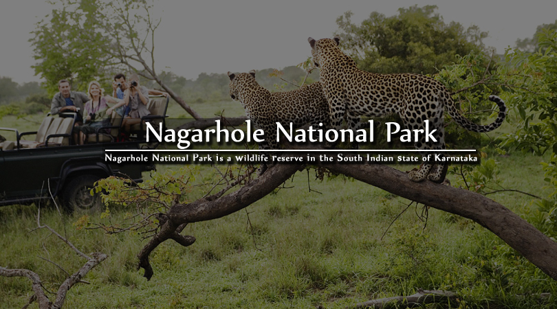 nagarhole-national-park-karnataka-india