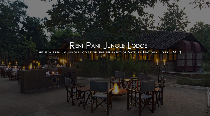 reni-pani-jungle-lodge-india