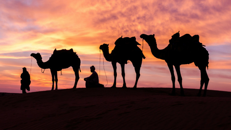 Camel Festivals In India