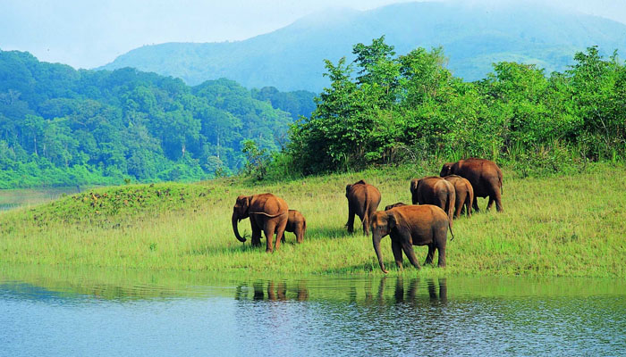 Periyar Wildlife Sanctuary Periyar Wildlife Sanctuary