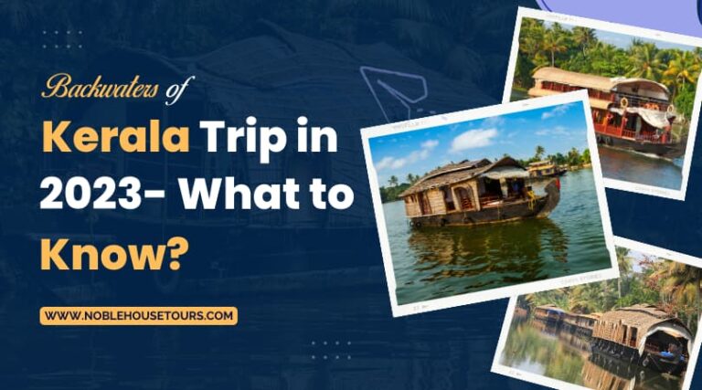 Backwaters of Kerala Trip in 2023 What to Know
