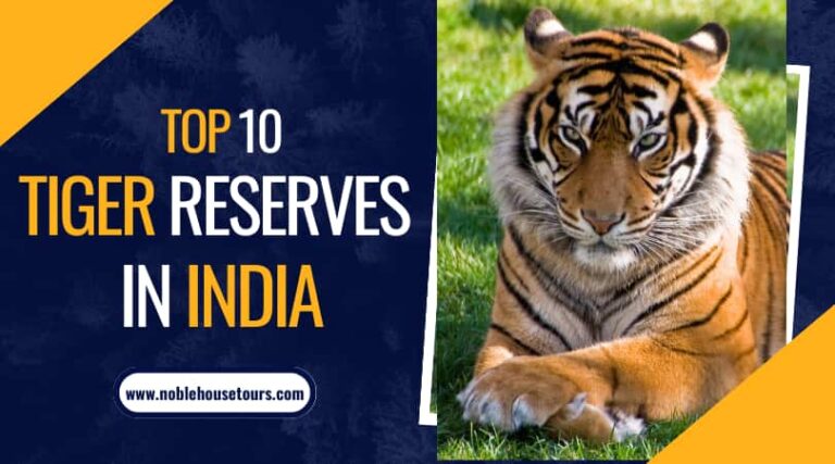 Top 10 Tiger Reserves in India