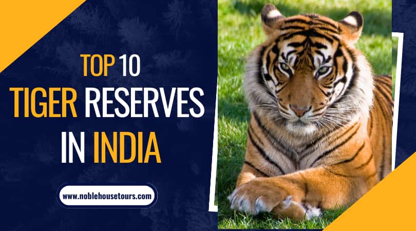 Top 10 Tiger Reserves in India