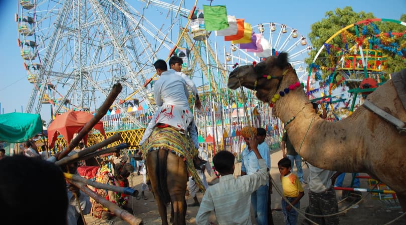 pushkar mela 2024