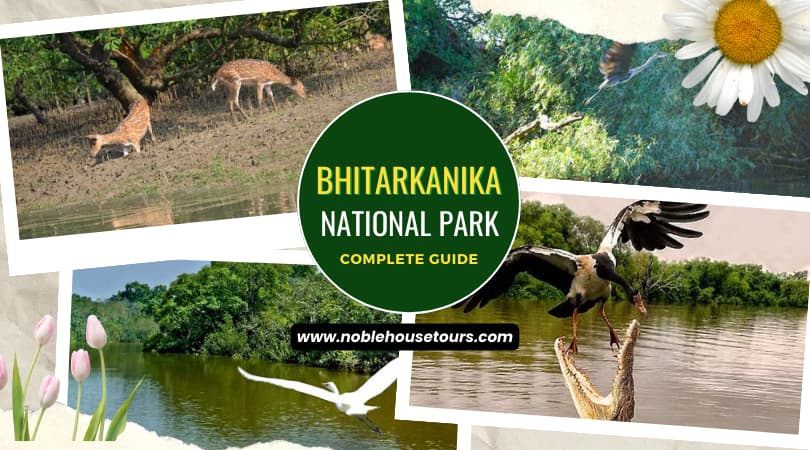 Bhitarkanika National Park Complete Guide