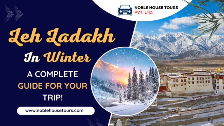 Leh Ladakh In Winter – A Complete Guide For Your Trip!