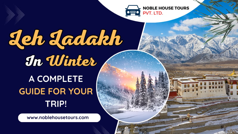 Leh Ladakh In Winter – A Complete Guide For Your Trip!