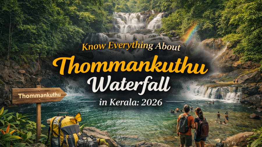 Know Everything About Thommankuthu Waterfall in Kerala 2026