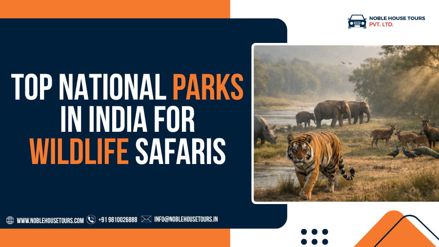 Top National Parks in India for Wildlife Safaris