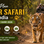 How to plan Tiger Safari in India - A Complete Guide 2026