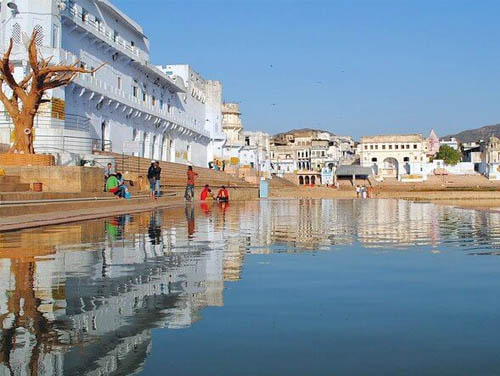 pushkar-camel-fair-2019-tour-packages