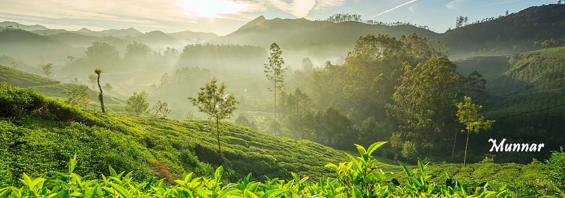 munnar-hill-stations-in-south-india