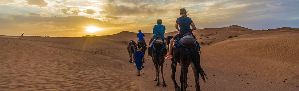 sands of Deserts on camel back