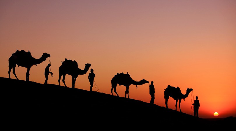 Photography Tours Of Rajasthan
