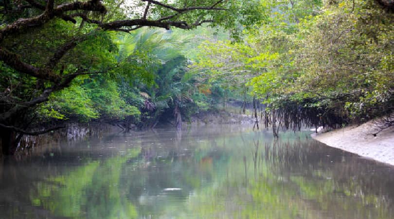 Sundarbans National Park