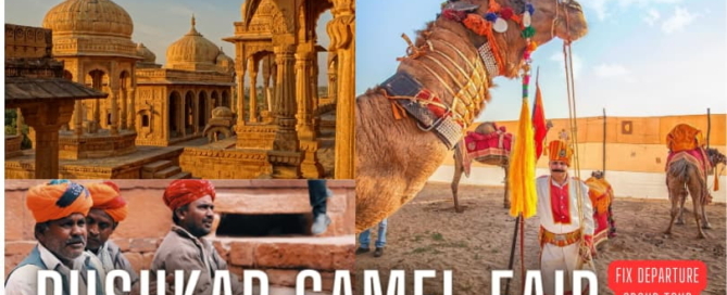 Pushkar Camel Fair Fix Departure Group Tour 2025
