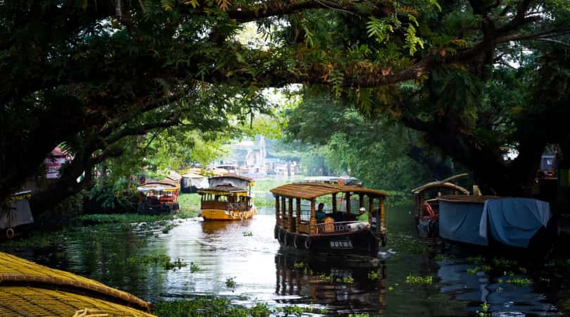 Things to Do at Backwater Trip in Kerala