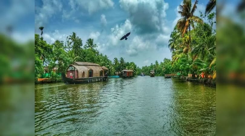 What is unique about the Backwaters of Kerala