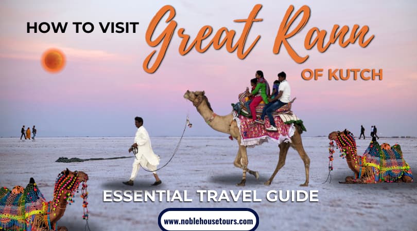 How To Visit Great Rann Of Kutch Essential Travel Guide