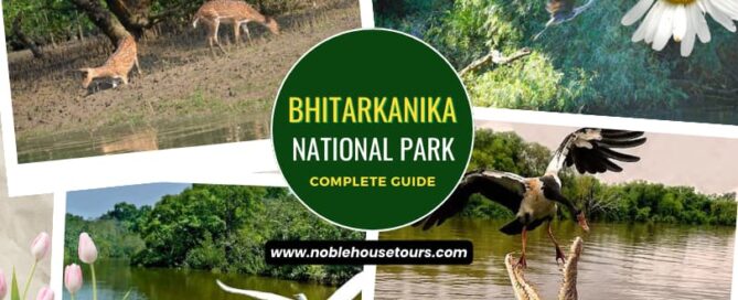 Bhitarkanika National Park Complete Guide