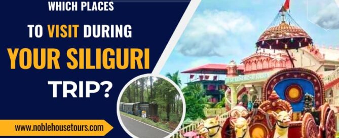 Which Places To Visit During Your Siliguri Trip