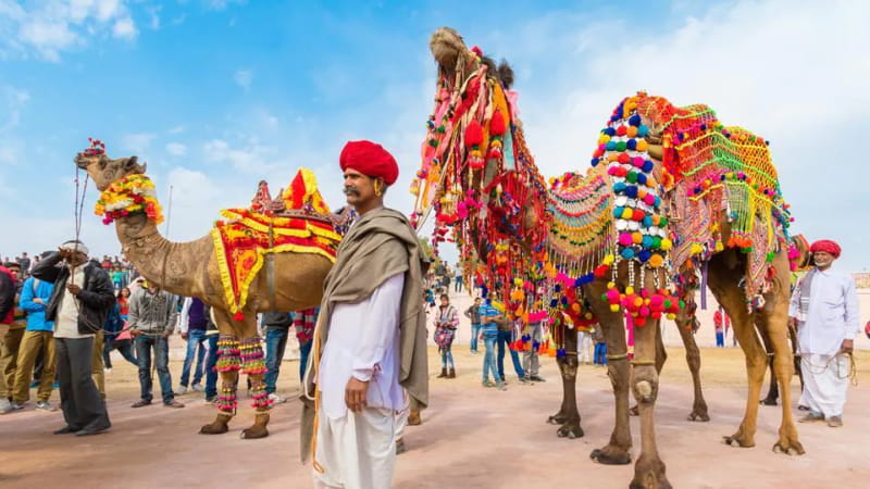 Attractions and Activities of the Pushkar Camel Fair