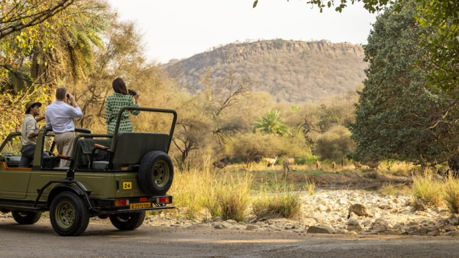Ranthambore Luxury Safari