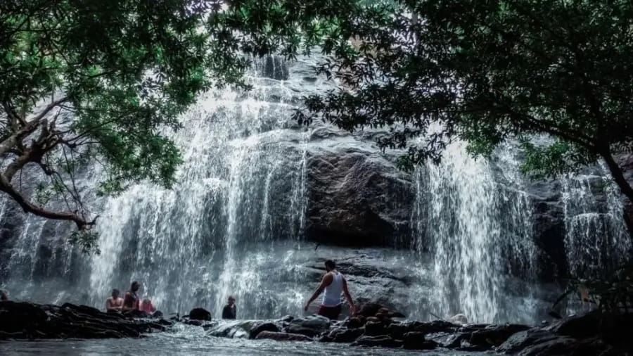 Best Time to Visit Thommankuthu Waterfall in Kerala