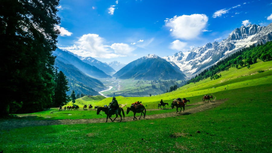 Doodhpathri - Kashmir’s Alpine Paradise