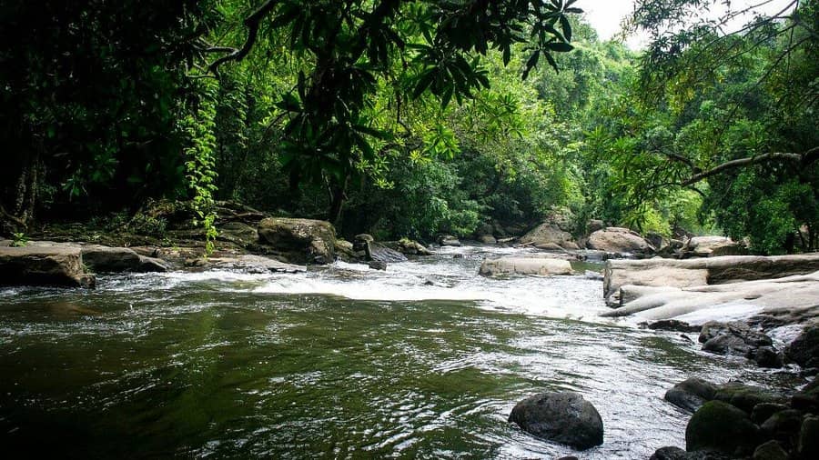 Thommankuthu Waterfalls Timings & Ticket Price