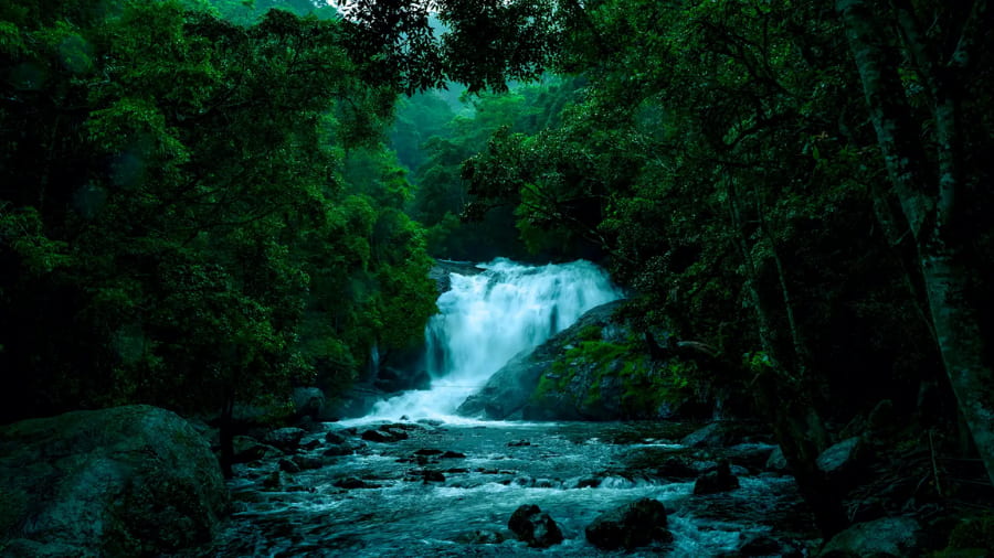 Tourist Places Near Thommankuthu Waterfalls