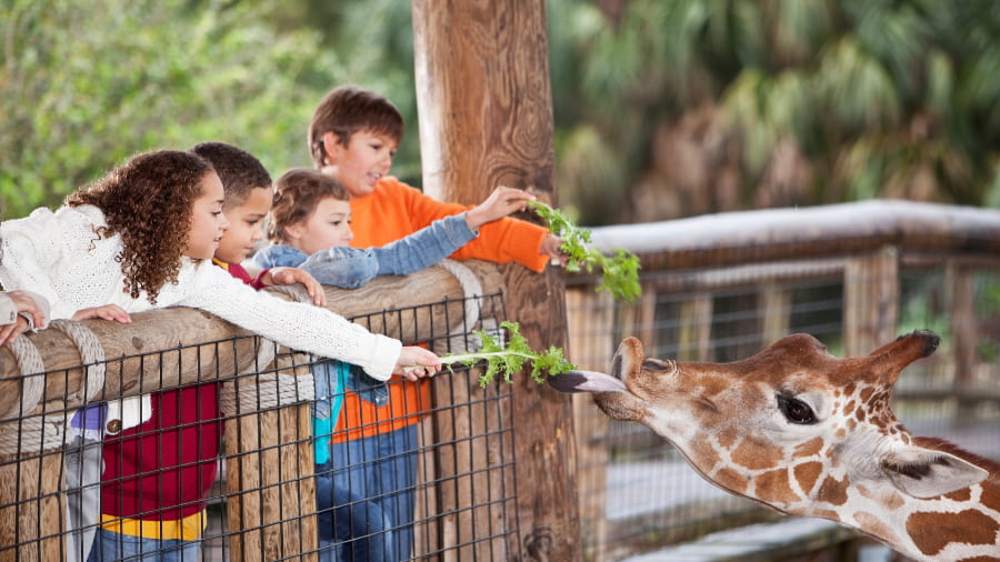 Things to Do in Mysore with Family