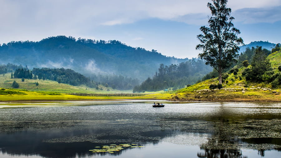 Kodaikanal, Tamil Nadu