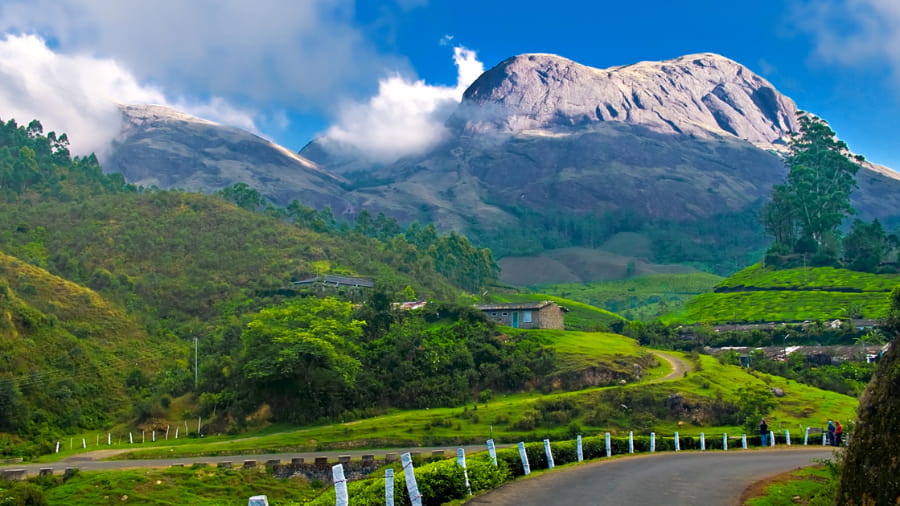 Munnar, Kerala
