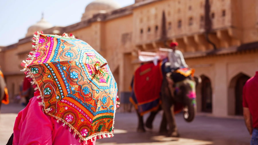 Planning your Trip with Experts
