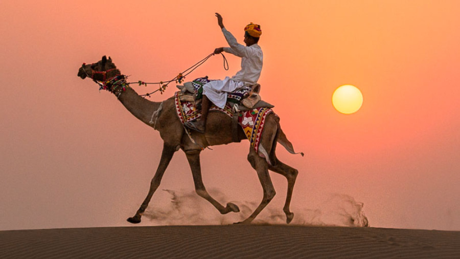 The Camel Fair in Pushkar